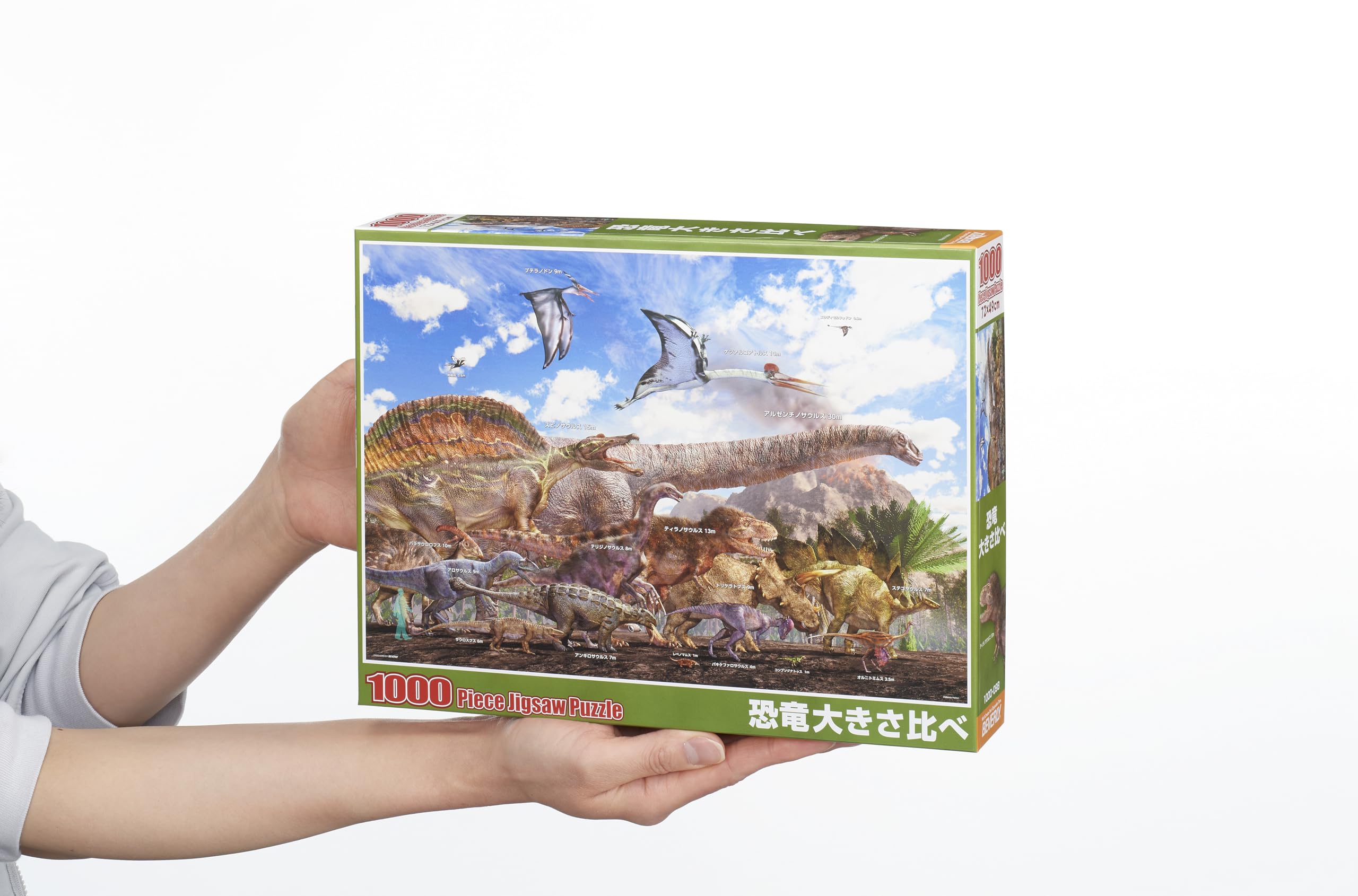 Amazon | 【日本製】ビバリー 1000ピース ジグソーパズル 恐竜大きさ